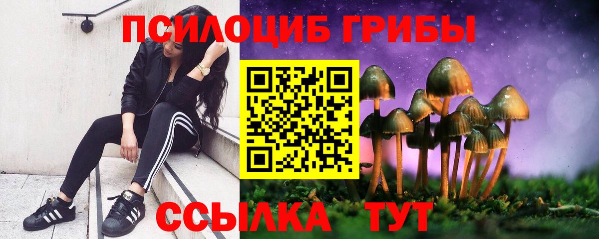 сколько стоит  Псилоцибиновые грибы MAGIC MUSHROOMS  Вход с VPN  Галлюциногенные грибы Cubensis  Калуга 